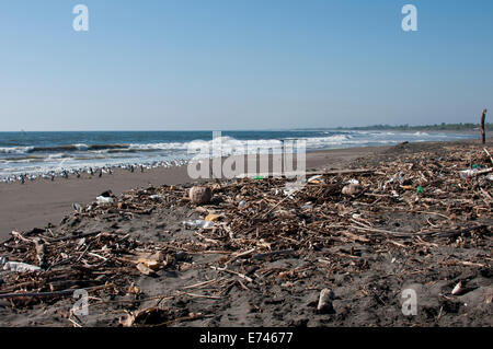 Strand von Playa Mezcala zeigt Müll und andere angespült Material und eine gemischte Vogel-Herde Stockfoto