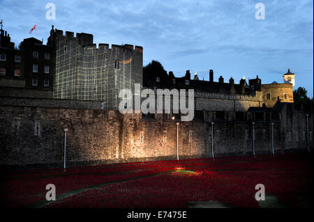 Rote Keramik Mohnblumen in den trockenen Graben der Tower of London, zum Gedenken an WWI Stockfoto