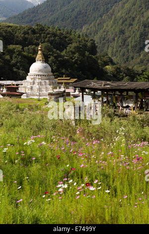 Ost Bhutan, Trashi Yangtse Chorten Kora, im Kulong Chu-Tal, von blühenden Wiese Stockfoto