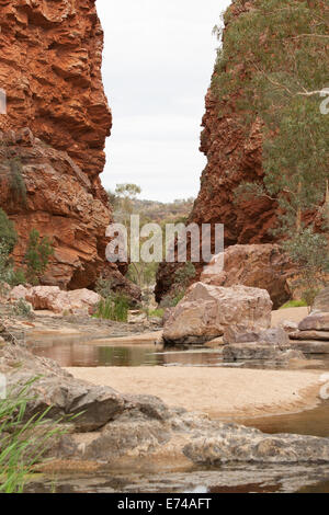 Eine teilweise Dry Creek mit sandigen Ufer mit Bäumen und Sträuchern fließt durch eine schmale Schlucht der roten Felsen, Simpsons Gap Stockfoto