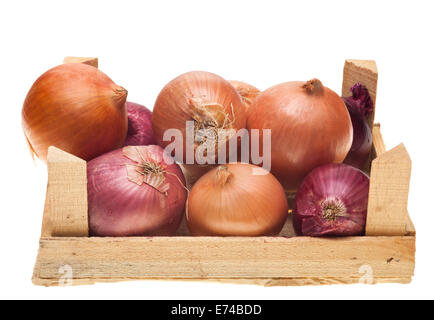 Verschiedene Arten von Zwiebeln in einer Holzkiste Stockfoto