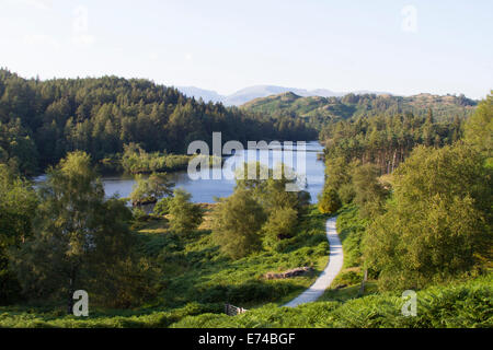 Tarn Hows, Lake District Stockfoto