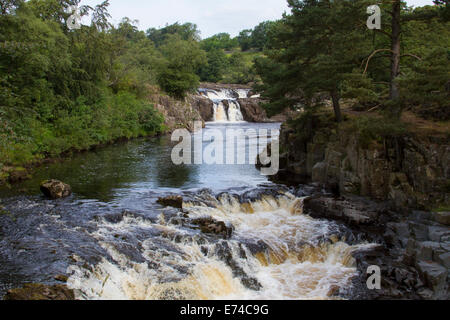 Geringe Kraft, Teesdale, County Durham Stockfoto