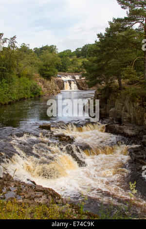 Geringe Kraft, Teesdale, County Durham Stockfoto