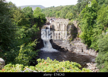 Hohe Kraft, Teesdale, County Durham Stockfoto