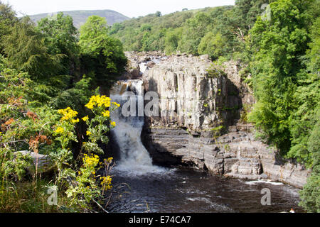 Hohe Kraft, Teesdale, County Durham Stockfoto