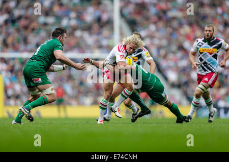 Twickenham, Großbritannien. 06. Sep, 2014. Aviva Premiership Rugby. London Irish versus Harlekine. Harlekine Zentrum Matt Hopper auf die Ladung Credit: Action Plus Sport/Alamy Live News Stockfoto