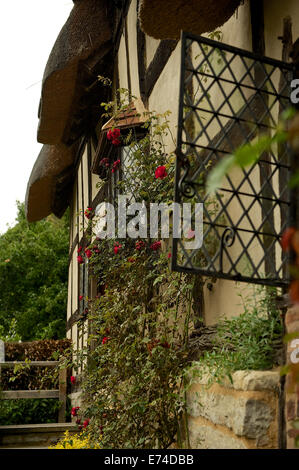 Foto von Ann Hathaways Haus und Garten Stockfoto