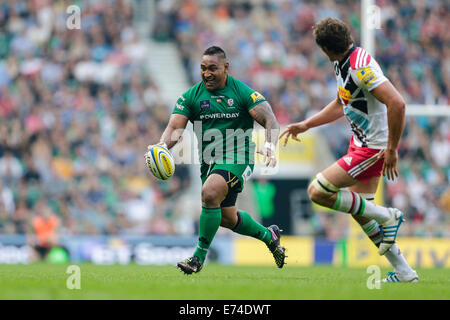 Twickenham, Großbritannien. 06. Sep, 2014. Aviva Premiership Rugby. London Irish versus Harlekine. London Irish Tighthead prop Halani Aulika auf die Ladung Credit: Action Plus Sport/Alamy Live News Stockfoto