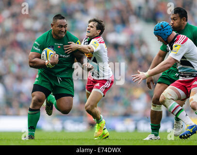 Twickenham, Großbritannien. 06. Sep, 2014. Aviva Premiership Rugby. London Irish versus Harlekine. London Irish Tighthead prop Halani Aulika auf die Ladung Credit: Action Plus Sport/Alamy Live News Stockfoto