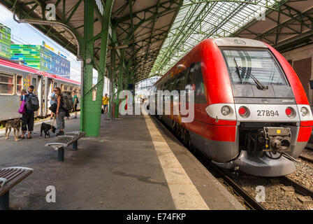 Perpignan, Frankreich, junge Touristen mit Rucksäcken, französischer Bahnhof, sncf-Bahnsteig, städtische Haustiere Stockfoto