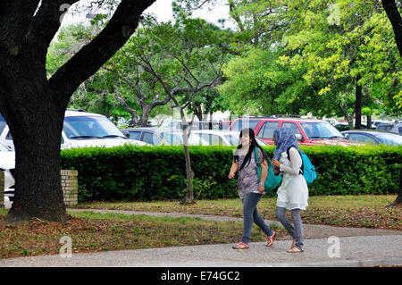 Muslimische Studentinnen an der Universität von Houston, Texas Stockfoto