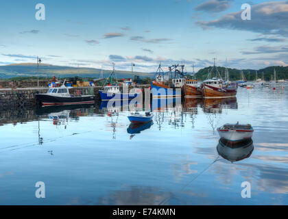 Angelboote/Fischerboote ankern in Tobermory Hafens, Isle of Mull, Schottland, UK Stockfoto