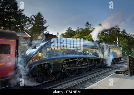 Die North Yorkshire Moors Dampfeisenbahn-Linie Stockfoto