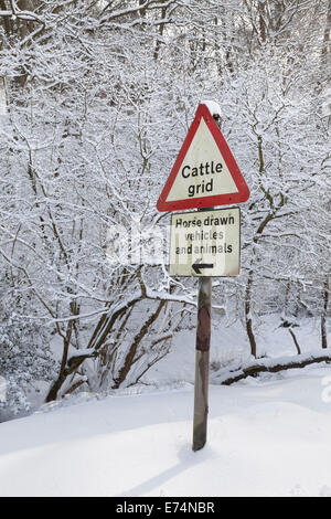 Levisham auf der North Yorkshire Moors England Stockfoto