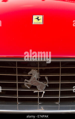 Turin, Italien. 6. September 2014.Radiator Kühlergrill und Logo auf eine auf einem 1965 Ferrari 275 GTB. Sammler von historischen Autos trafen sich in Torino für einen Auto-Eleganz-Wettbewerb. Stockfoto