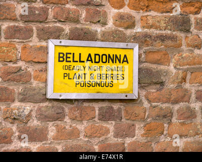 Gelbes Warnschild für giftige tödliche Nacht Schatten (Belladonna) Pflanze auf alten Steinmauer. Stockfoto