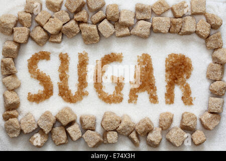 Das Wort "Zucker" mit Zuckerrohr auf Weißzucker Hintergrund und brauner Rohrzucker Würfel geschrieben. Close-up. Stockfoto