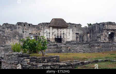 Maya-Ruinen in Tulum, Mexiko Stockfoto