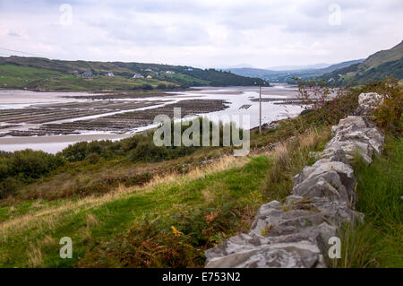 Ardara, County Donegal, Irland. 7. Sept. 2014. Mit 2,5 Millionen Austern Austernbänke. Irische Austern sind jetzt in der hohen Nachfrage als Krankheit Französisch Auster Produktion dezimiert verlassen hat. Irische Austern sind Premium-Preise jetzt Befehlen, da sie nicht von der Krankheit betroffen sind. Bildnachweis: Richard Wayman/Alamy Live-Nachrichten Stockfoto