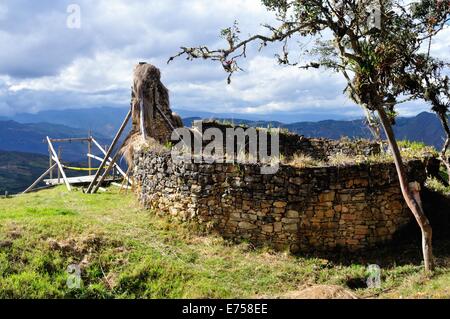 Restauration in KUELAP - archäologische Stätte in CHACHAPOYAS. Abteilung von Amazonas. Peru Stockfoto