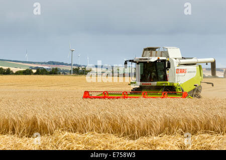 CLAAS Mähdrescher ernten Gerste mit Windkraftanlagen im Hintergrund Stockfoto