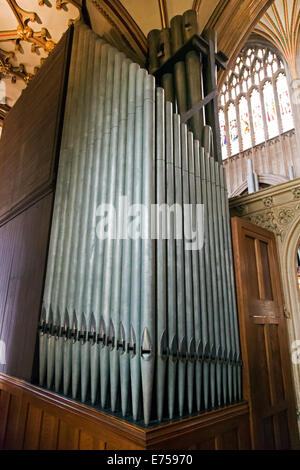 Festlegen der Rauchrohre the1911 Harrison & Harrison-Orgel, Kirche St. Mary Redcliffe, Bristol, Wettsektor, UK. Stockfoto