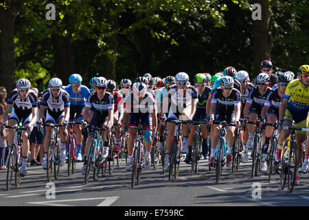 Liverpool, Merseyside, England 7. September 2014. Tour of Britain. Tausende Zuschauer säumten die Straßen von Liverpool, einige der weltweit bekanntesten Radfahrer beobachten, wie die Tour of Britain in Gang gesetzt. Die Stadt Gastgeber der Grand abzuweichen, die Fahrer auf einer Schleife rund um die Innenstadt auf den Weg sah. Riesige Menschenmengen versammelten sich und jubelten, als die Fahrer acht Runden von der Uferpromenade, um Sefton Park und zurück begann. Bildnachweis: Mar Photographics/Alamy Live-Nachrichten Stockfoto