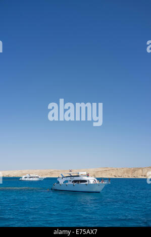 Tauchen und Schnorcheln im Roten Meer an der Küste von Ägypten in der Nähe von Sharm el Sheik Stockfoto