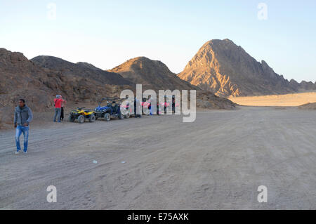 Quad fahren in der Sinai Wüste, Ägypten Stockfoto