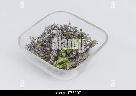 Ökologische heilenden trockene Kraut Blume - Pfefferminze (Mentha Piperita) auf der Glasplatte Stockfoto