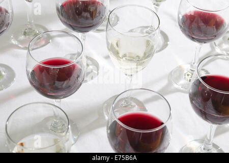 Ein Array von Weingläser gefüllt mit verschiedenen Weinen. Stockfoto