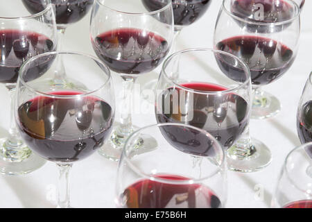 Ein Array von Weingläser gefüllt mit verschiedenen Weinen. Stockfoto