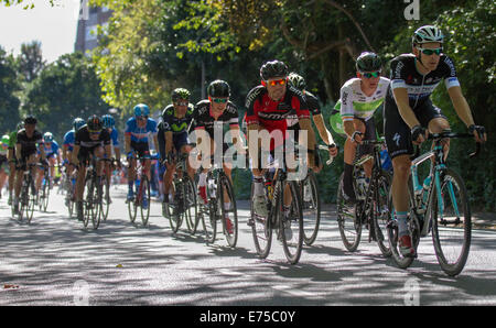 Liverpool, Merseyside, Großbritannien, 7. September 2014. Das Jagdfeld auf der Tour of Britain. Tausende von Zuschauern säumten die Straßen von Liverpool, um einige der berühmtesten Radfahrer der Welt zu beobachten, während die Tour of Britain begann. In der Stadt fand der Grand Depart statt, bei dem die Fahrer auf einem Rundkurs durch das Stadtzentrum aufbrachen. Riesige Menschenmassen versammelten sich und jubelten, als die Fahrer acht Runden von der Uferpromenade zum Sefton Park und zurück fuhren. Stockfoto