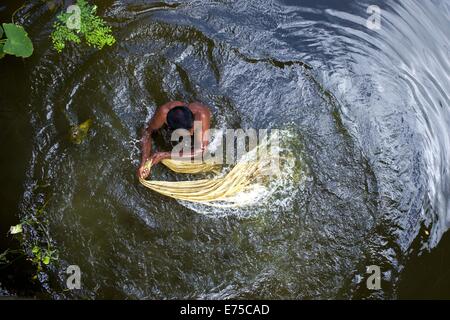 7. September 2014 - 7. September 2014, wäscht Bangladeshi Landwirt raw Jute mit Wasser im Arialkha Fluss außerhalb Dhaka. Für die Verweigerung von fairen Preisen Kosten Jute, wenn das Land die goldene Faser jetzt geworden ist in ein Fluch für Landwirte, die es im Austausch für harte Arbeit und die Einbeziehung produzieren höhere. Die Bauern nicht genügend Jute bekommen, weil der Mangel an Regenwasser in diesem Jahr. Gute Ernte in diesem Jahr und könnte Verkauf 1 Maund (1 Maund = 37,12 Kg) bei 600 Bangladeshi Taka (8 US$). Bangladesch ist der weltweit größte Produzent von Jute, eine faserige Substanz verwendet bei der Herstellung Sackleinen Säcke, Matten, Seil und Bindfäden und Auto Stockfoto