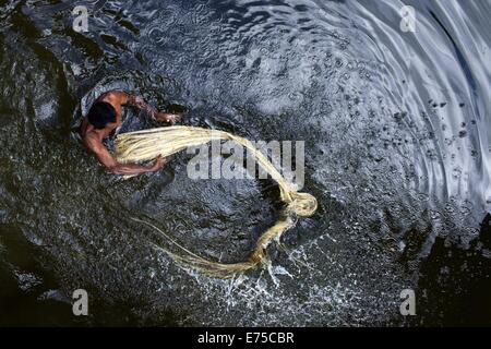 7. September 2014 - 7. September 2014, wäscht Bangladeshi Landwirt raw Jute mit Wasser im Arialkha Fluss außerhalb Dhaka. Für die Verweigerung von fairen Preisen Kosten Jute, wenn das Land die goldene Faser jetzt geworden ist in ein Fluch für Landwirte, die es im Austausch für harte Arbeit und die Einbeziehung produzieren höhere. Die Bauern nicht genügend Jute bekommen, weil der Mangel an Regenwasser in diesem Jahr. Gute Ernte in diesem Jahr und könnte Verkauf 1 Maund (1 Maund = 37,12 Kg) bei 600 Bangladeshi Taka (8 US$). Bangladesch ist der weltweit größte Produzent von Jute, eine faserige Substanz verwendet bei der Herstellung Sackleinen Säcke, Matten, Seil und Bindfäden und Auto Stockfoto