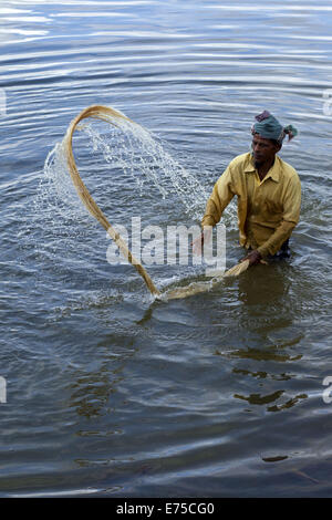 7. September 2014 - 7. September 2014, wäscht Bangladeshi Landwirt raw Jute mit Wasser im Arialkha Fluss außerhalb Dhaka. Für die Verweigerung von fairen Preisen Kosten Jute, wenn das Land die goldene Faser jetzt geworden ist in ein Fluch für Landwirte, die es im Austausch für harte Arbeit und die Einbeziehung produzieren höhere. Die Bauern nicht genügend Jute bekommen, weil der Mangel an Regenwasser in diesem Jahr. Gute Ernte in diesem Jahr und könnte Verkauf 1 Maund (1 Maund = 37,12 Kg) bei 600 Bangladeshi Taka (8 US$). Bangladesch ist der weltweit größte Produzent von Jute, eine faserige Substanz verwendet bei der Herstellung Sackleinen Säcke, Matten, Seil und Bindfäden und Auto Stockfoto