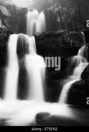 Schwarz / weiß Bild des oberen Doyle River Falls an einem Frühlingstag im Shenandoah-Nationalpark, Virginia. Stockfoto