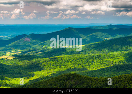 Wolken Schatten über die Appalachen, gesehen vom Skyline Drive im Shenandoah-Nationalpark, Virginia. Stockfoto