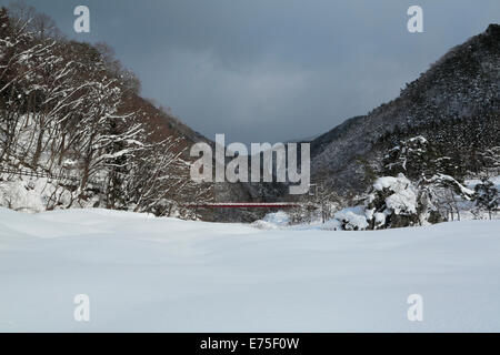 Daki Kaeri Tal im Winter Stockfoto