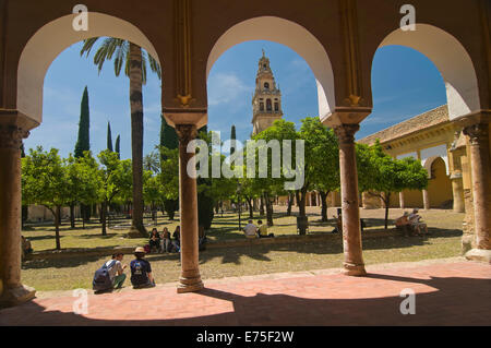 Große Moschee und Patio de Los Naranjos, Cordoba, Region von Andalusien, Spanien, Europa Stockfoto