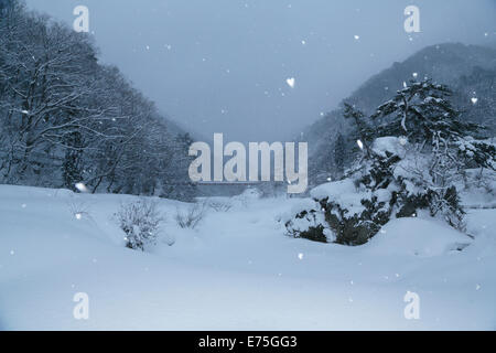 Daki Kaeri Tal im Winter Stockfoto