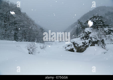 Daki Kaeri Tal im Winter Stockfoto