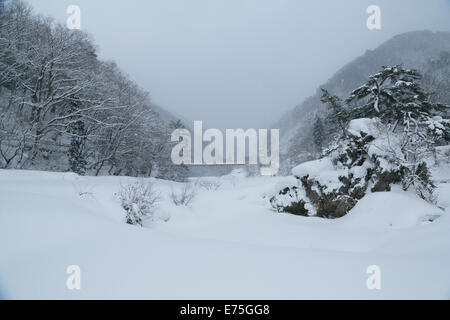 Daki Kaeri Tal im Winter Stockfoto