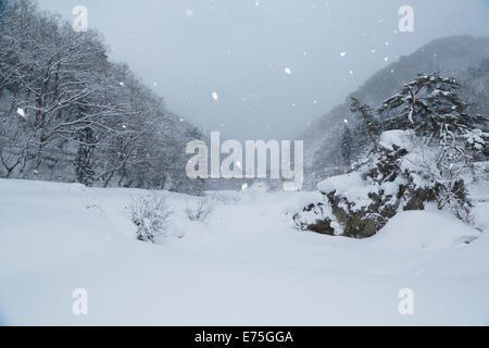 Daki Kaeri Tal im Winter Stockfoto