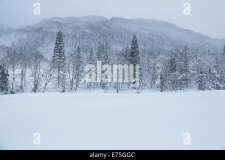 Daki Kaeri Tal im Winter Stockfoto