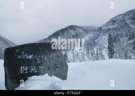 Daki Kaeri Tal im Winter Stockfoto