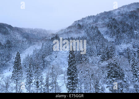 Daki Kaeri Tal im Winter Stockfoto