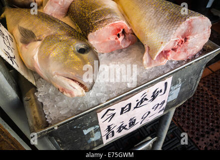 Frischer Fisch zum Verkauf in San Franciscos Chinatown. Stockfoto