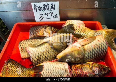 Frischer Fisch zum Verkauf in San Franciscos Chinatown. Stockfoto